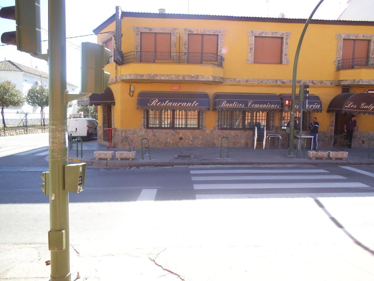 Hostal Los Galgos Yepes Εξωτερικό φωτογραφία